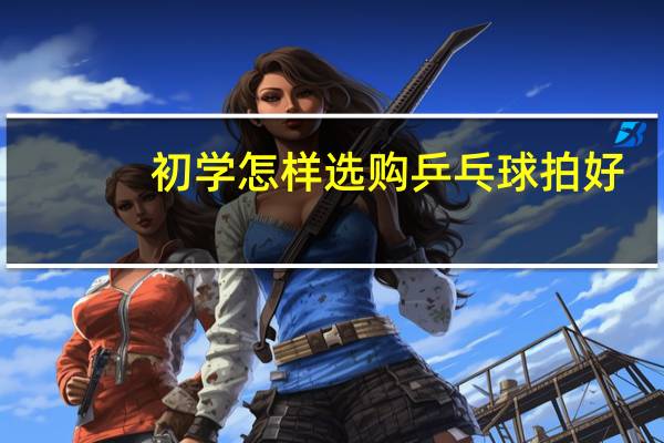 初学怎样选购乒乓球拍好