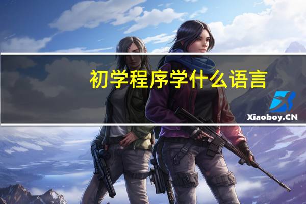 初学程序学什么语言