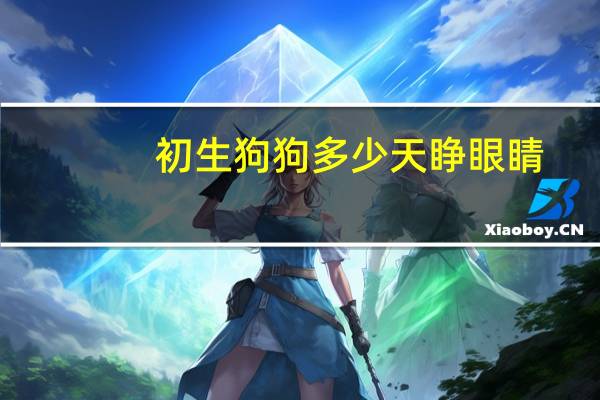 初生狗狗多少天睁眼睛
