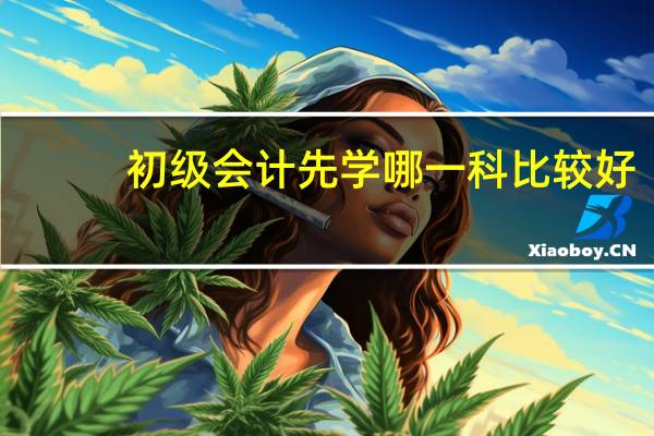 初级会计先学哪一科比较好