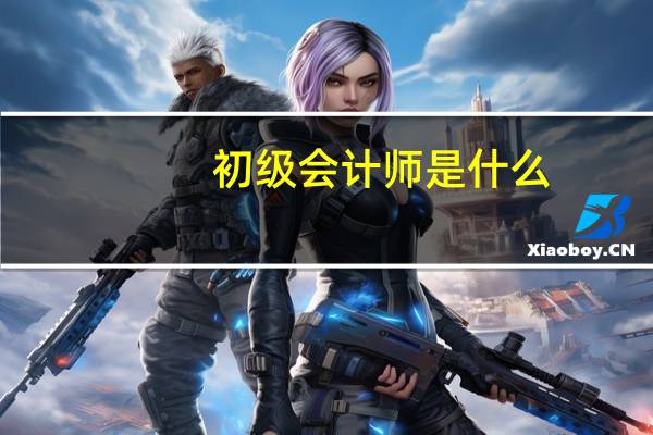 初级会计师是什么