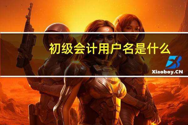 初级会计用户名是什么