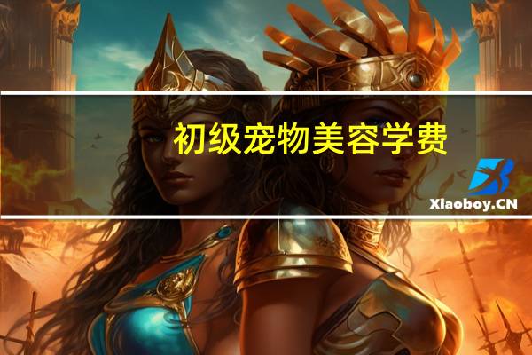 初级宠物美容学费