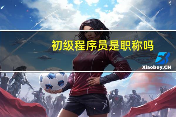 初级程序员是职称吗