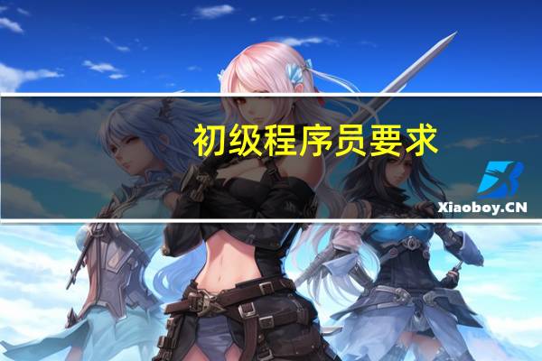 初级程序员要求