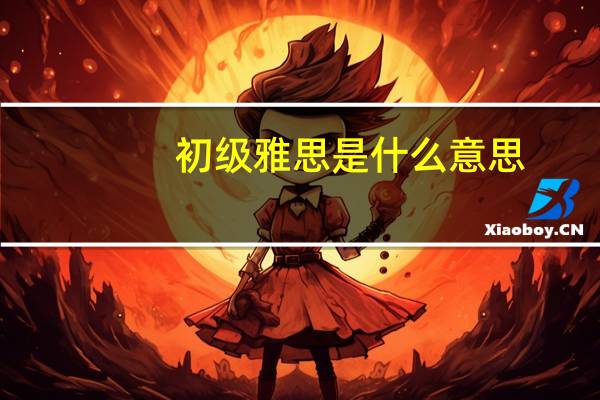 初级雅思是什么意思