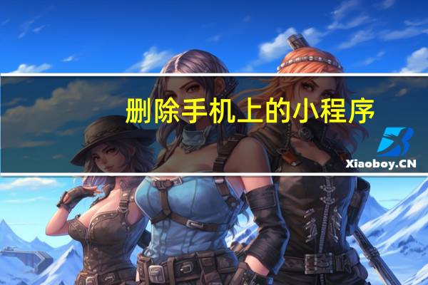 删除手机上的小程序