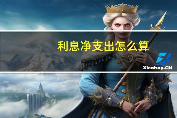 利息净支出怎么算