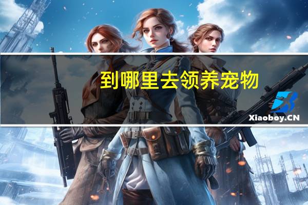 到哪里去领养宠物