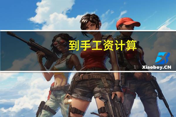 到手工资计算
