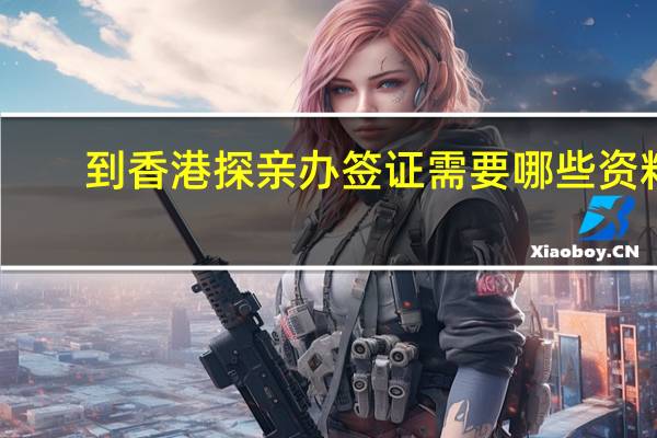 到香港探亲办签证需要哪些资料