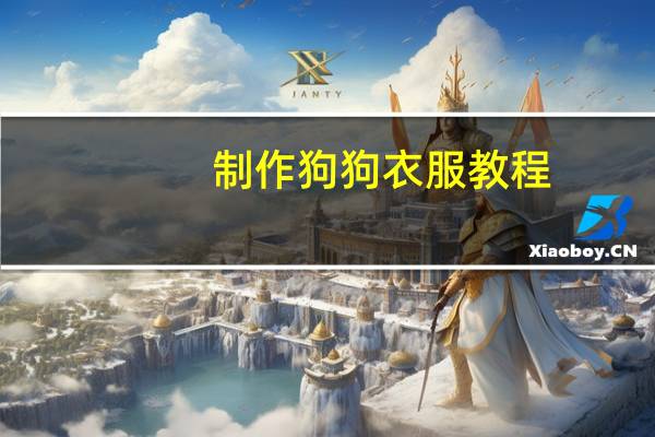 制作狗狗衣服教程