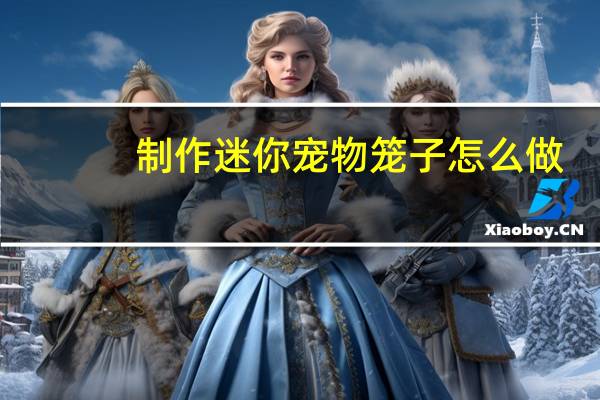 制作迷你宠物笼子怎么做
