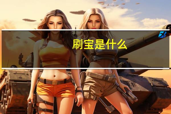 刷宝是什么