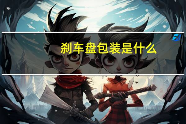 刹车盘包装是什么