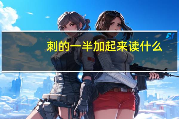 刺的一半加起来读什么