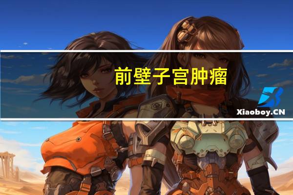前壁子宫肿瘤