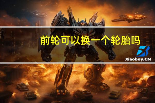 前轮可以换一个轮胎吗