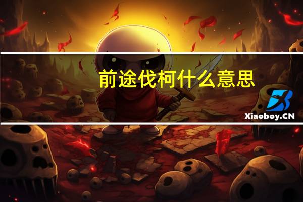 前途伐柯什么意思