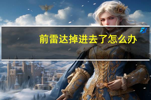 前雷达掉进去了怎么办