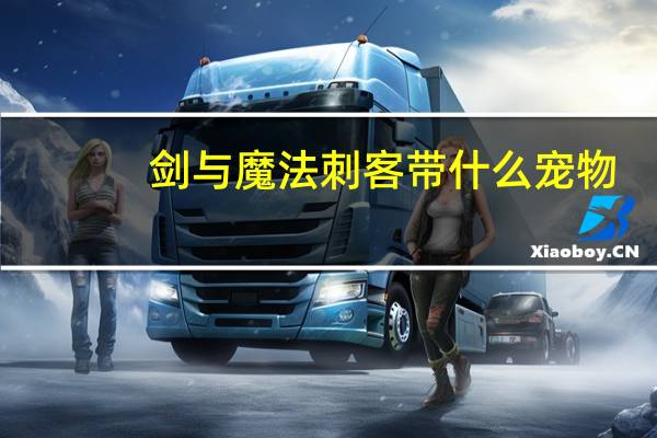 剑与魔法刺客带什么宠物