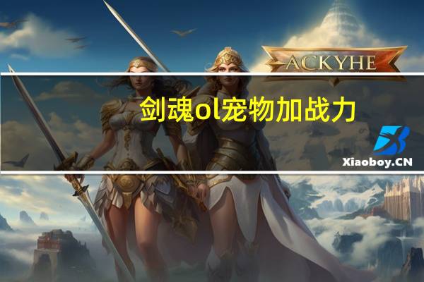剑魂ol宠物加战力