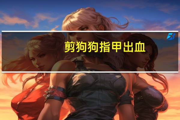 剪狗狗指甲出血