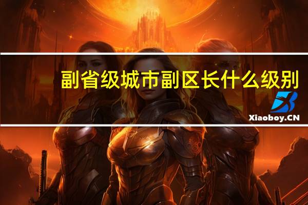 副省级城市副区长什么级别
