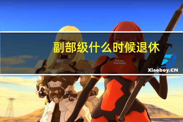 副部级什么时候退休