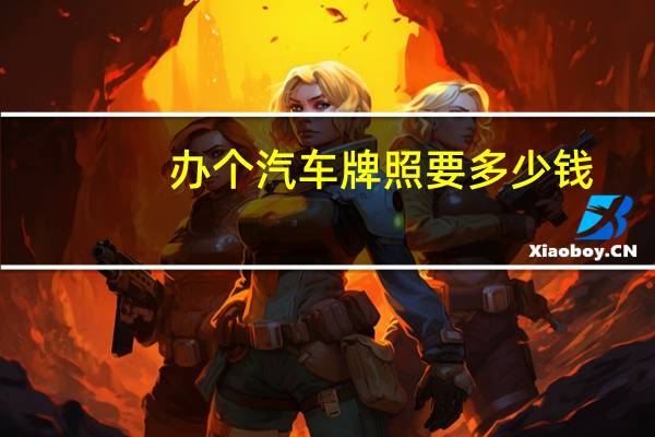 办个汽车牌照要多少钱