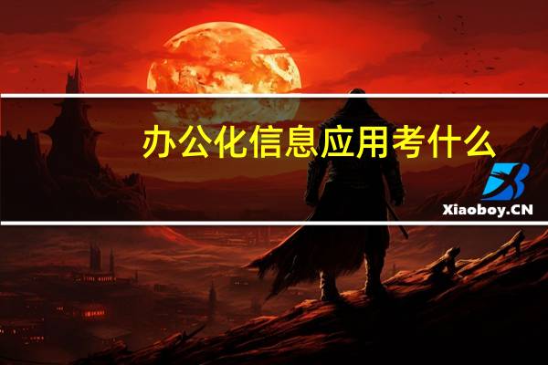 办公化信息应用考什么