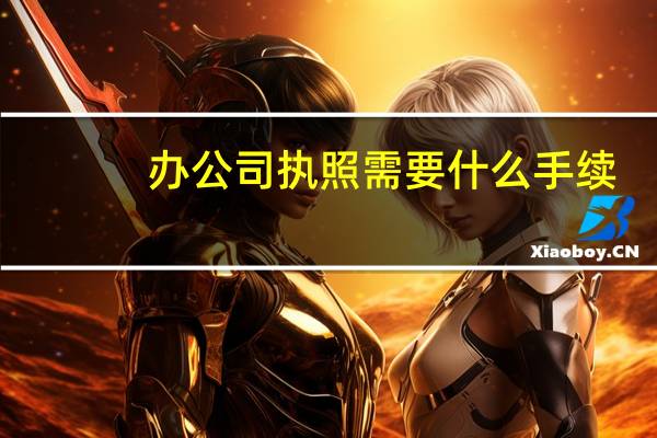 办公司执照需要什么手续