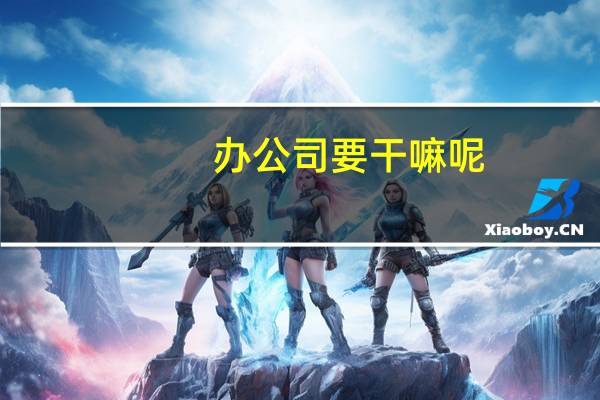 办公司要干嘛呢