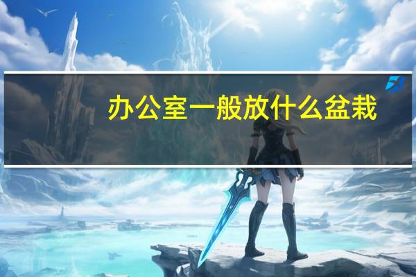 办公室一般放什么盆栽