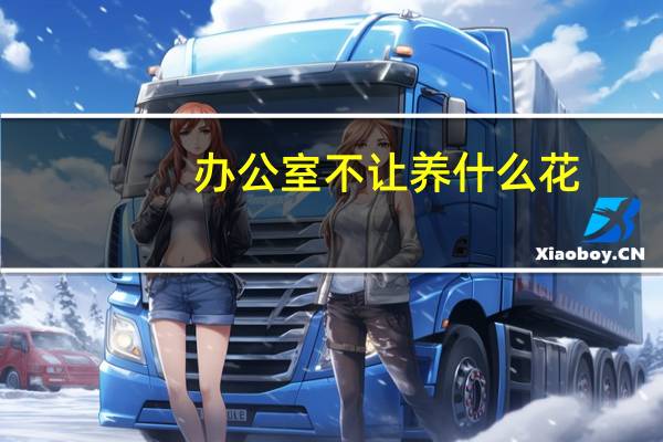 办公室不让养什么花