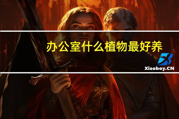 办公室什么植物最好养