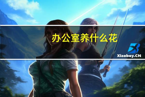 办公室养什么花