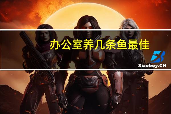 办公室养几条鱼最佳