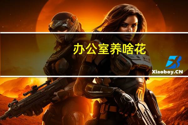 办公室养啥花