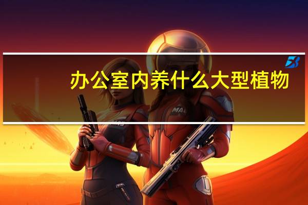 办公室内养什么大型植物