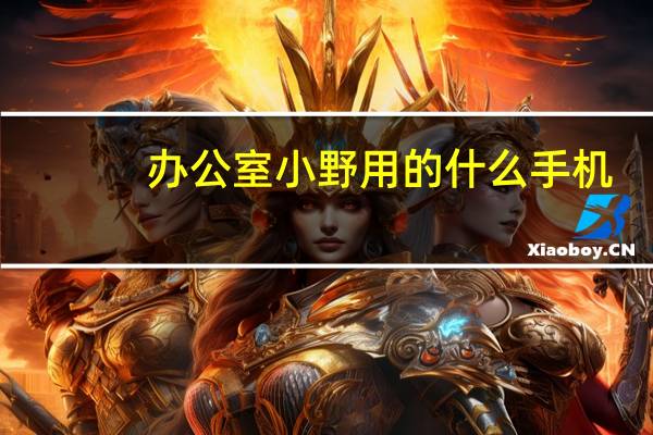办公室小野用的什么手机