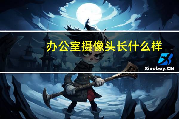 办公室摄像头长什么样