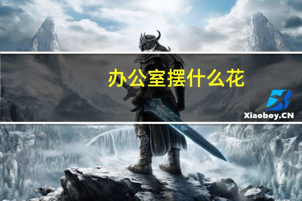 办公室摆什么花