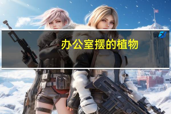 办公室摆的植物