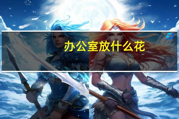 办公室放什么花