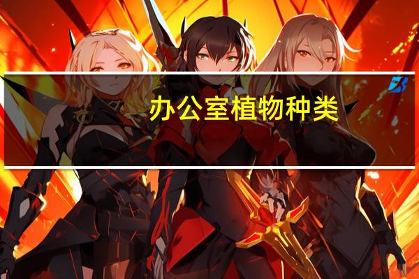 办公室植物种类