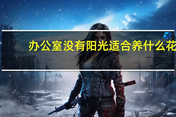 办公室没有阳光适合养什么花