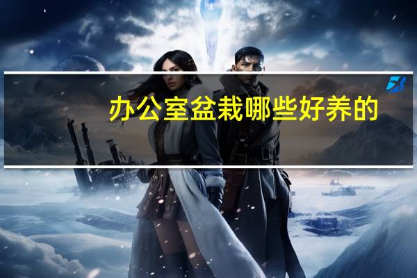 办公室盆栽哪些好养的