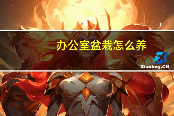 办公室盆栽怎么养