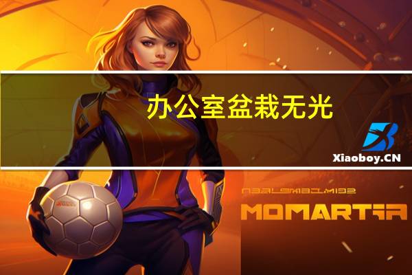办公室盆栽无光